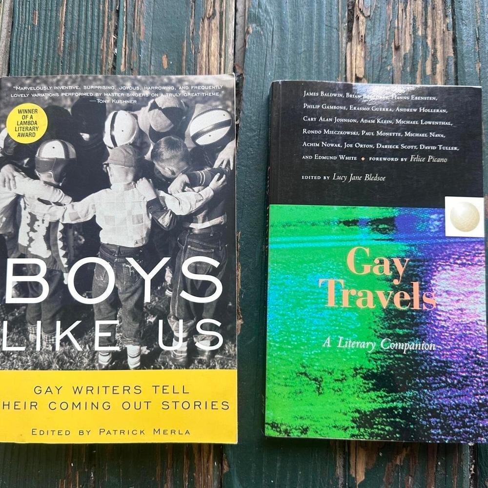 Boys Like Us & Gay‎ Travels Anthology Book Set LGBTQ+ Literature Gay Writers